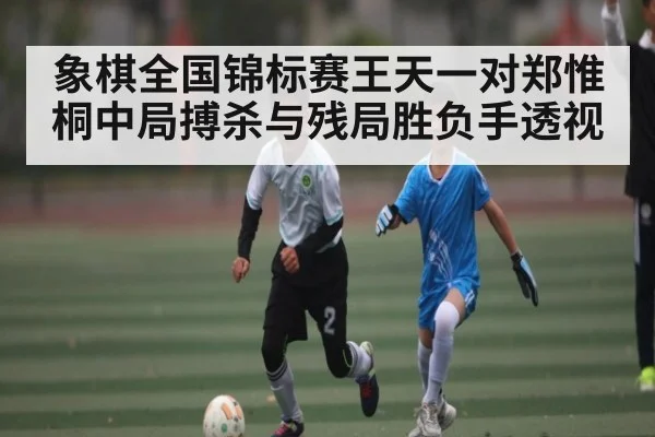 象棋全国锦标赛王天一对郑惟桐中局搏杀与残局胜负手透视